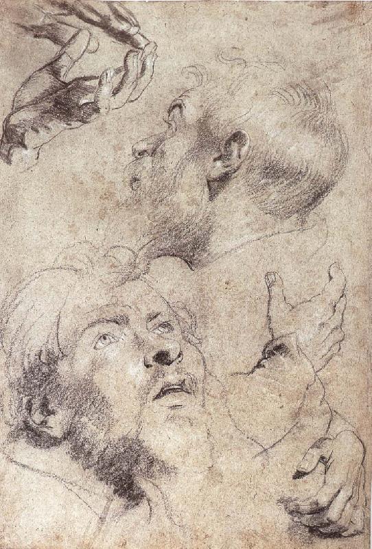 Peter Paul Rubens Four hand and two man-s head portrait Germany oil painting art